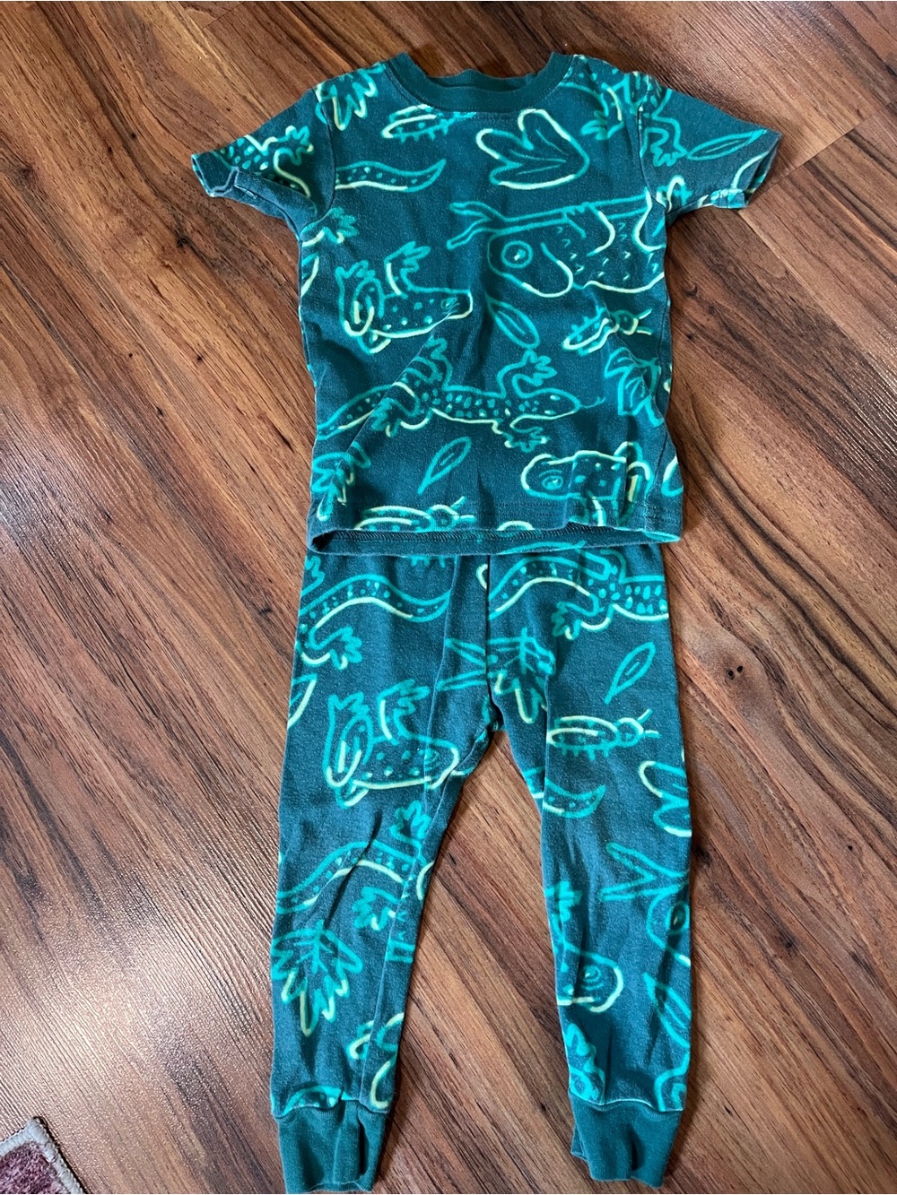 3/$10 Kids Muted Green & Teal Lizard Print Pajama Set